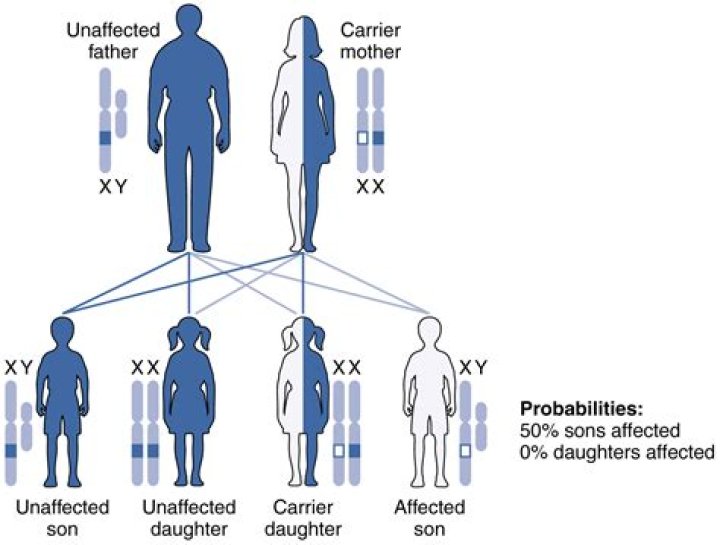 Can a step-sibling inherit if there is no will?