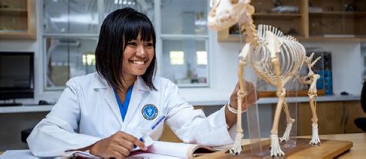 Can you be a vet assistant with a biology degree?
