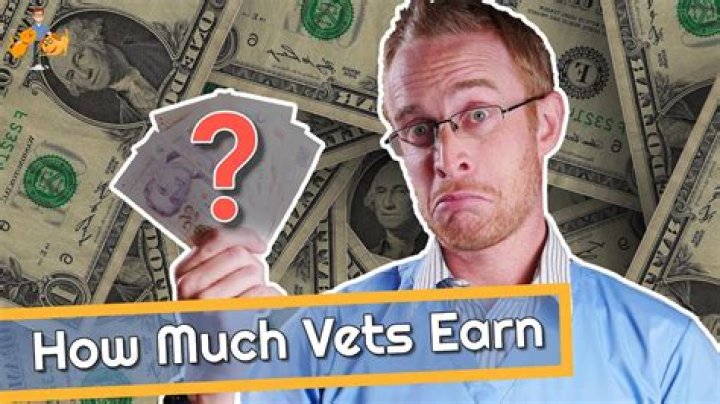 Do equine vets make good money?