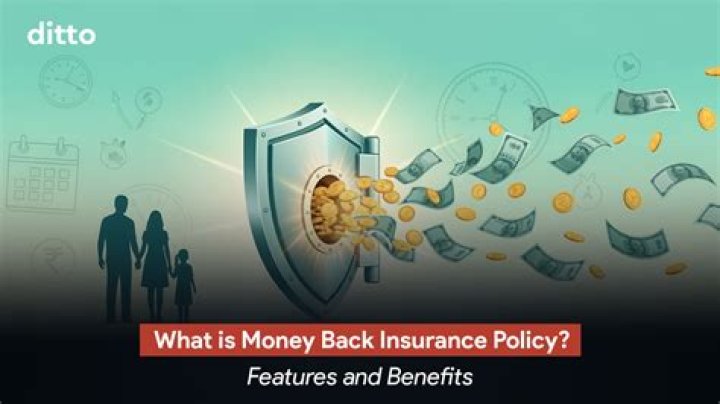 Do you get money back if your business shows a loss?