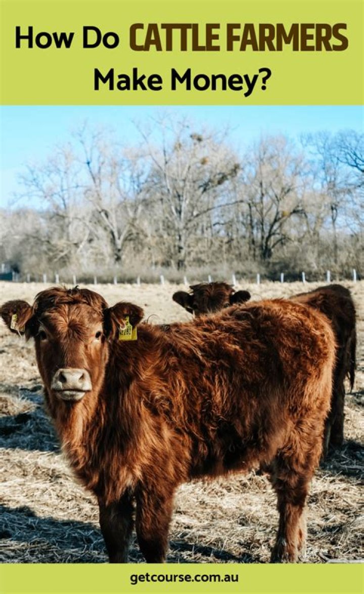 How do livestock farmers make money?