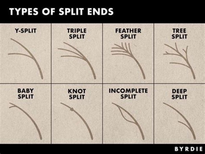 How do you split tips between bartenders?