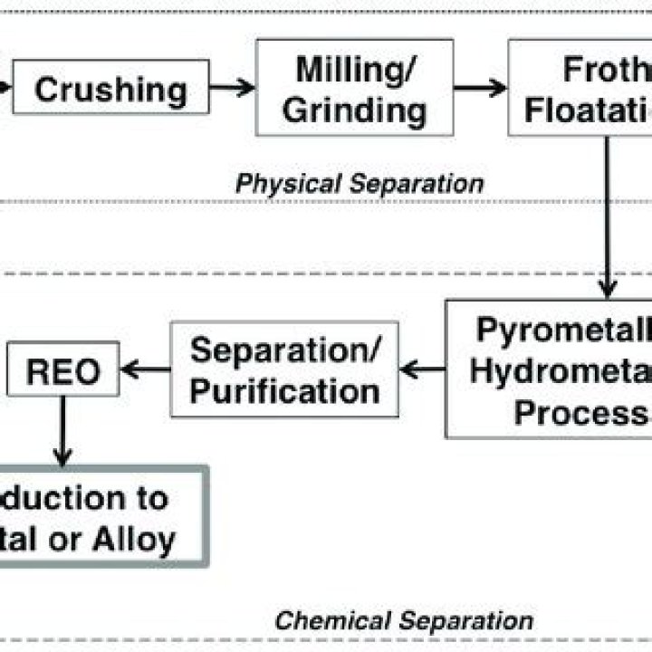 How does the REO process work?