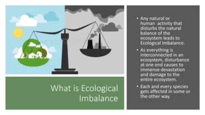 How ecological imbalance has affected the life of man?