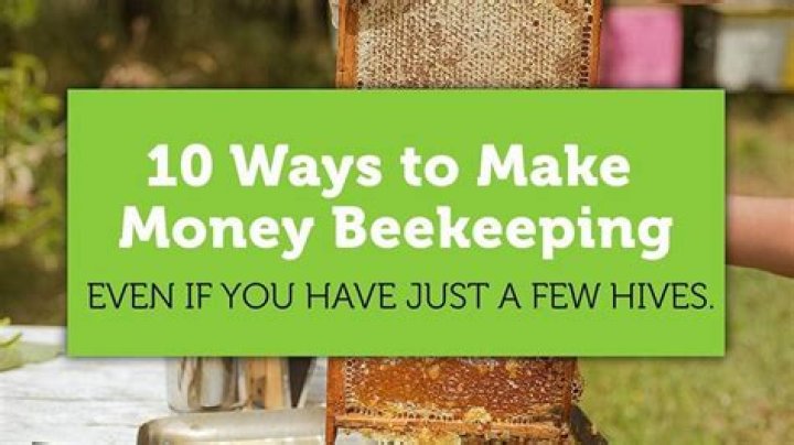 How much can you make from beekeeping?