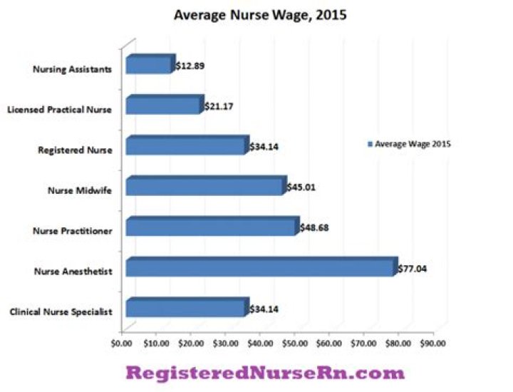How much did nurses make in 2010?