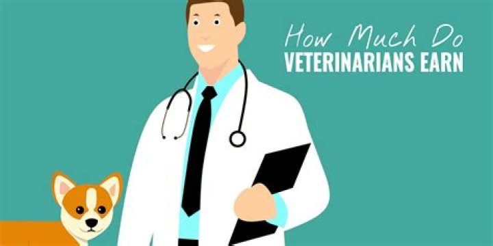 How much do beginner veterinarians make?