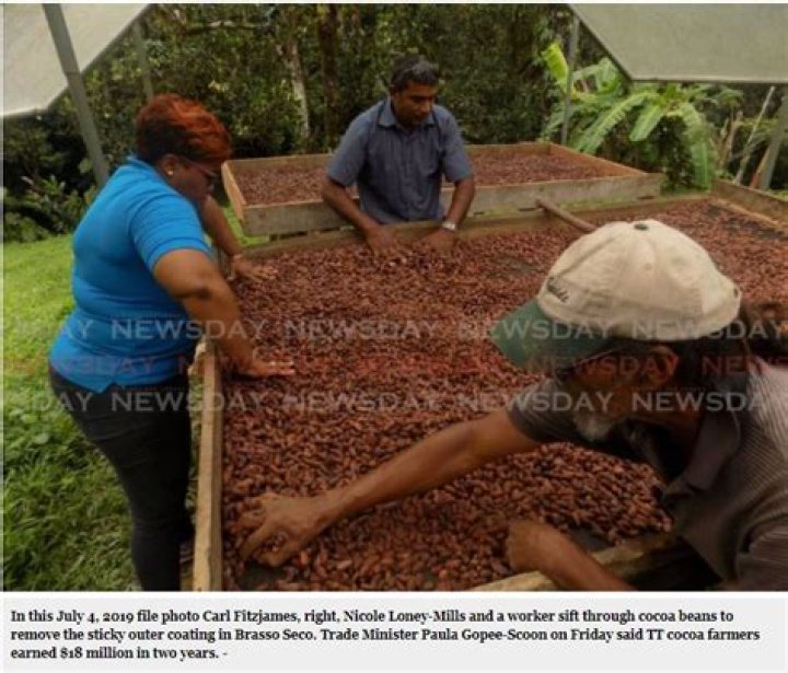 How much do cocoa farmers earn a day?