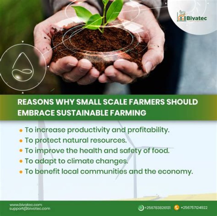 How much do successful farmers make?
