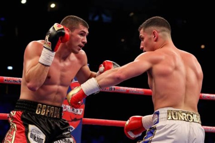 How much does a boxer make for a title fight?
