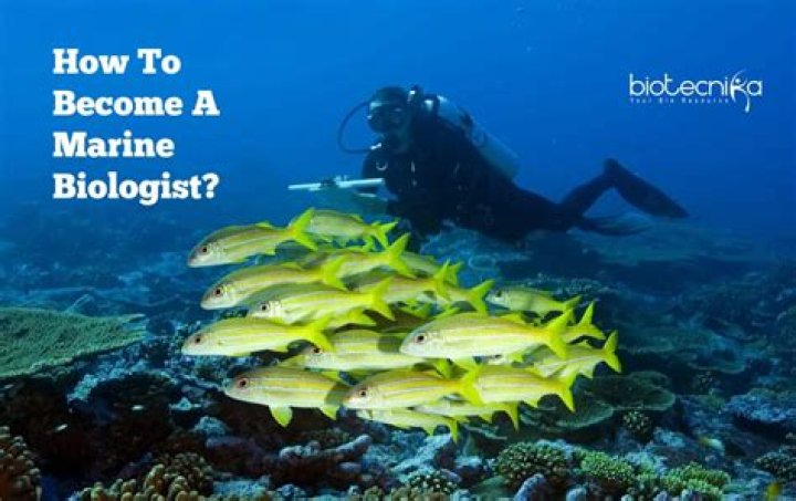 How much does a marine biologist make in South Africa?