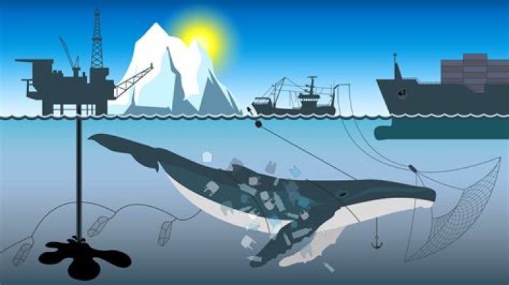How much money does the whaling industry make?