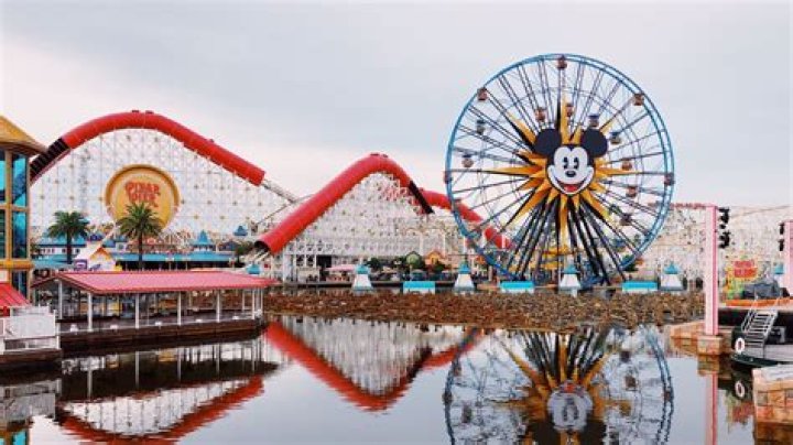 How much profit does an amusement park make?