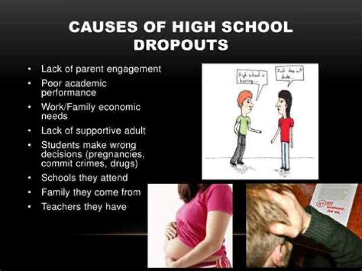 What are the effects of school dropouts?