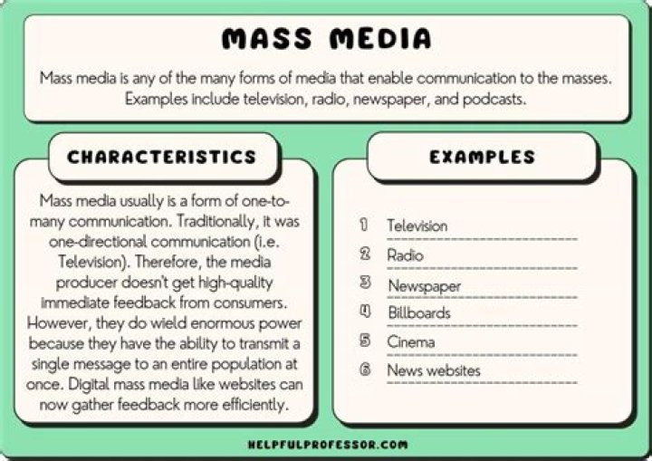 What are the roles of mass media in?
