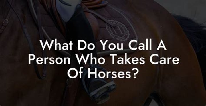 What do you call horse trainer?