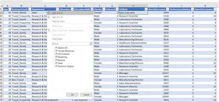 What does a formula do in a spreadsheet program apex?