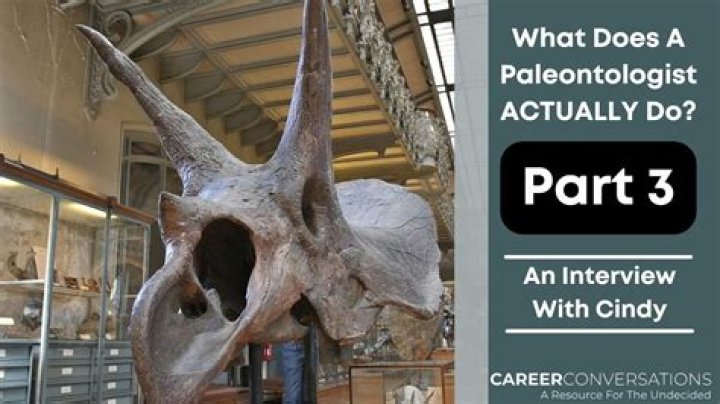 What does a paleontologist do in a day?