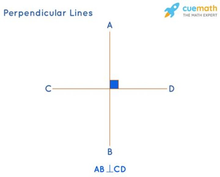 What is a perpendicular segment from a vertex to a line opposite of that?