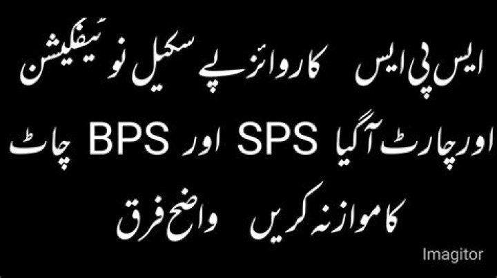 What is SPS scale?