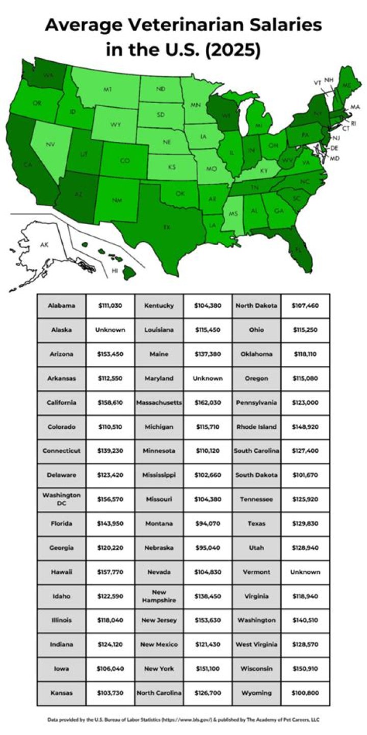 What is the salary for veterinary doctor per month?