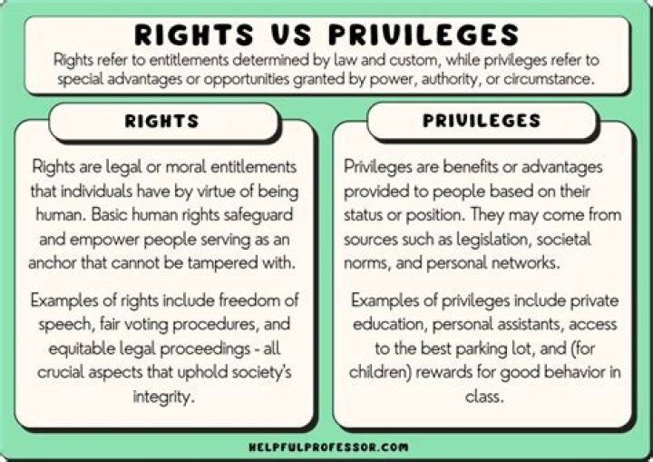 What privileges do you lose with a felony?
