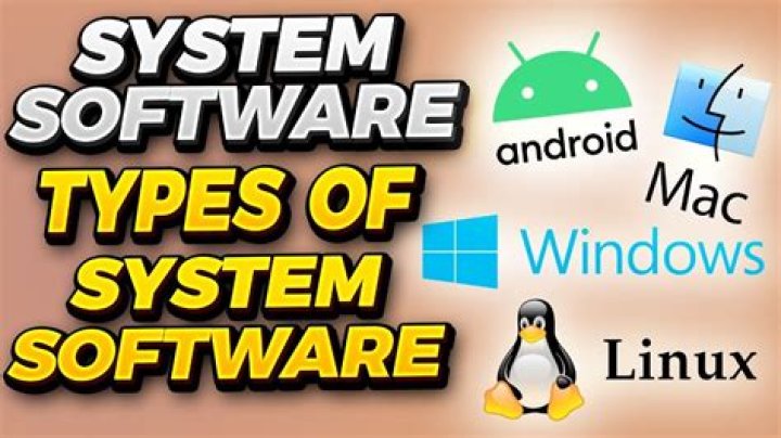 What type of software is Munis?