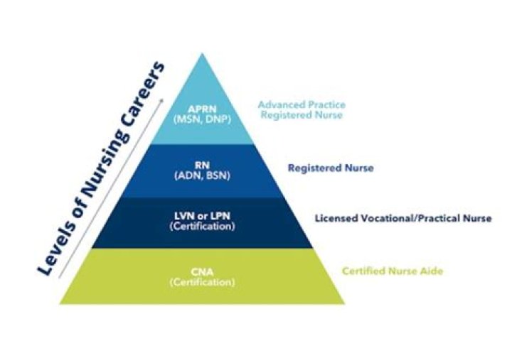 Who controls nursing on all levels?
