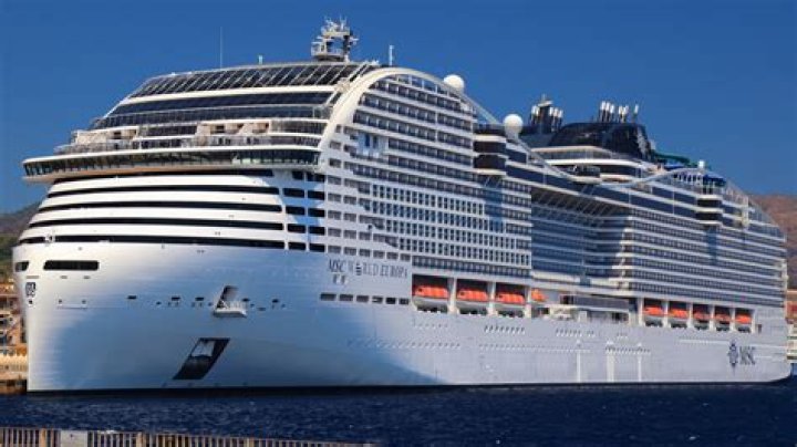 Who owns the largest fleet of ships?